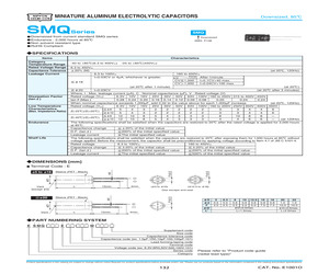 G4010E12B1-RSR-WS.pdf