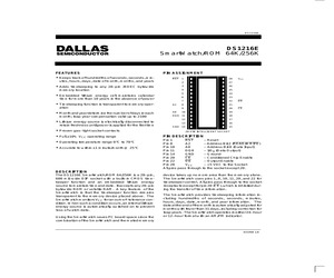 DS1216E.pdf