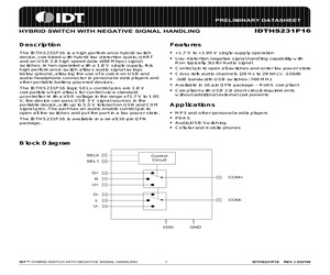 IDTHS231P16NDG.pdf