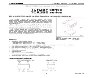 TCR2BE12.pdf