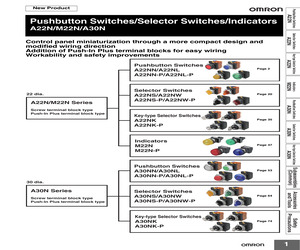 A22NN-RNM-NBA-G100-NN.pdf