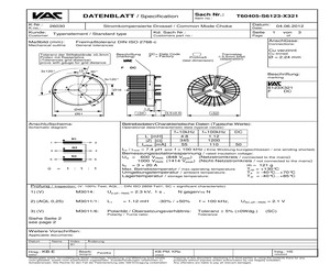 T60405-S6123-X321.pdf