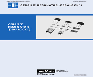 CSTCC2.00MG.pdf