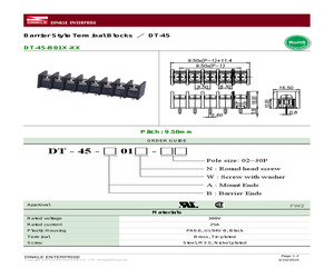 DT-45-B01W-02.pdf