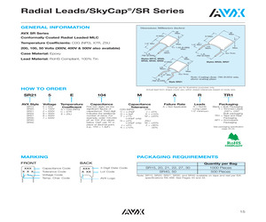 BM06B-SRSS-TB (LF)(SN).pdf