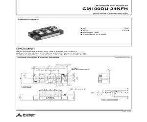 CM100DU-24NFH.pdf