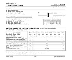 P600G-GT3.pdf