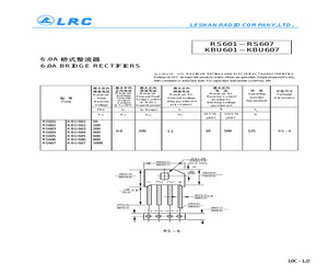 RS603.pdf