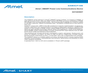 ATSAM4CP16B-AHU-Y.pdf