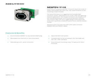 NE8FDV-Y110.pdf