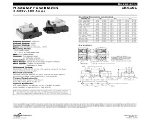 1BS101.pdf