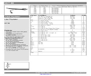 SKT80/06D1.pdf