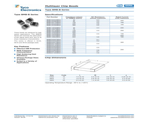 BMB2A0600BN3 (1-1624117-6).pdf