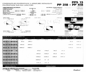 PP31842201250.pdf