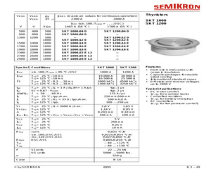 SKT1000/04D.pdf