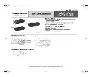 AM50010A33-A.pdf