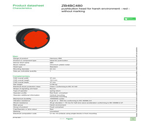 ZB4BC480.pdf