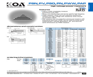 PAP6M101J.pdf