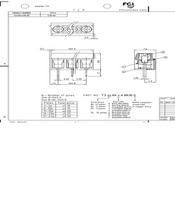 T307045400J0G.pdf