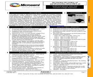 MASMLJ100CATR.pdf