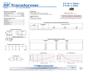 TT16-1-X65.pdf