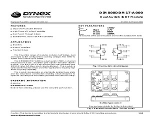 DIM800DDM17-A000.pdf