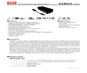 GSM60A07-P1J.pdf