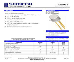 JAN2N4029.pdf