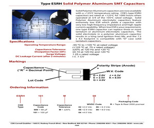 ESRH101M06B.pdf