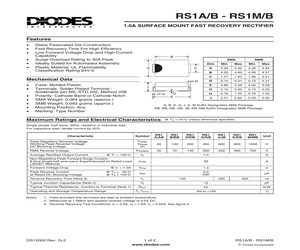 RS1J-7.pdf