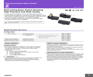 Z-15GW508-B.pdf