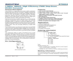 RT8024GB.pdf