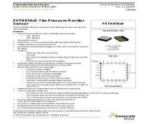 FXTH870502DT1.pdf