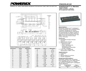 PM25RLB120.pdf