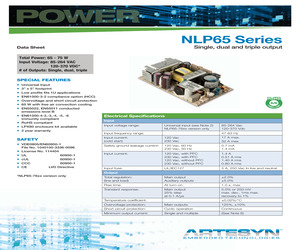 NLP65-9629GJ.pdf