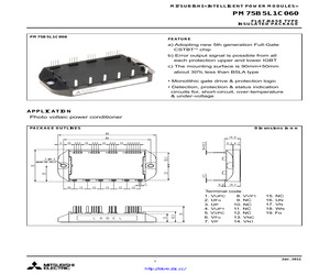 PM75B5L1C060.pdf