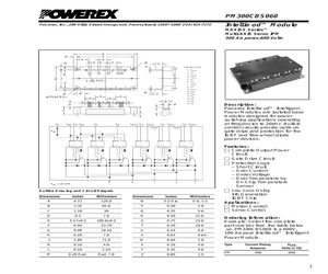 PM300CBS060.pdf