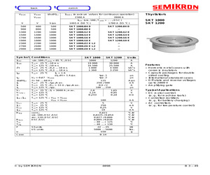 SKT1000/04D.pdf