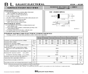 RS1J.pdf