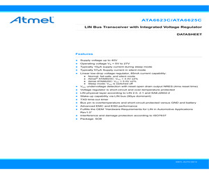 ATA6623-EK.pdf