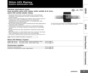 G2RV-SR500-AP AC110.pdf