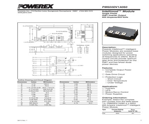 PM600DV1A060.pdf