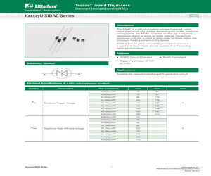 K1200GURP.pdf