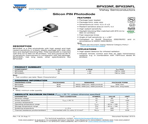 BPV23NFL.pdf