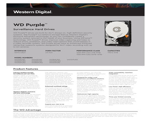 WD30PURX.pdf