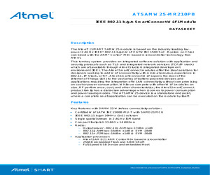 ATSAMW25H18-MR210PB1952.pdf