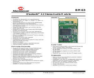 BM63SPKA1MGA-0001AC.pdf