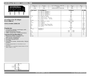 SKBAB500C1000L5B.pdf