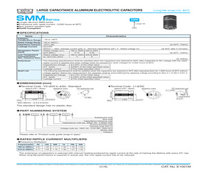 ESMM201VSN561MA20S.pdf