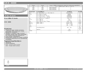 SKN4000.pdf